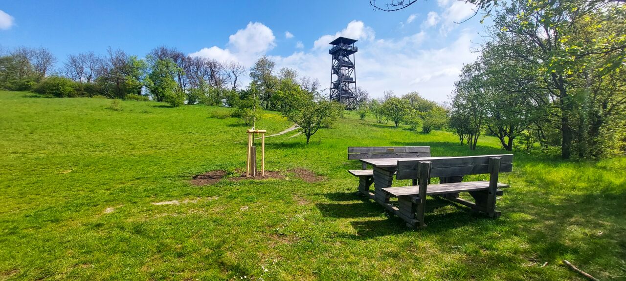 Königswarte Berg