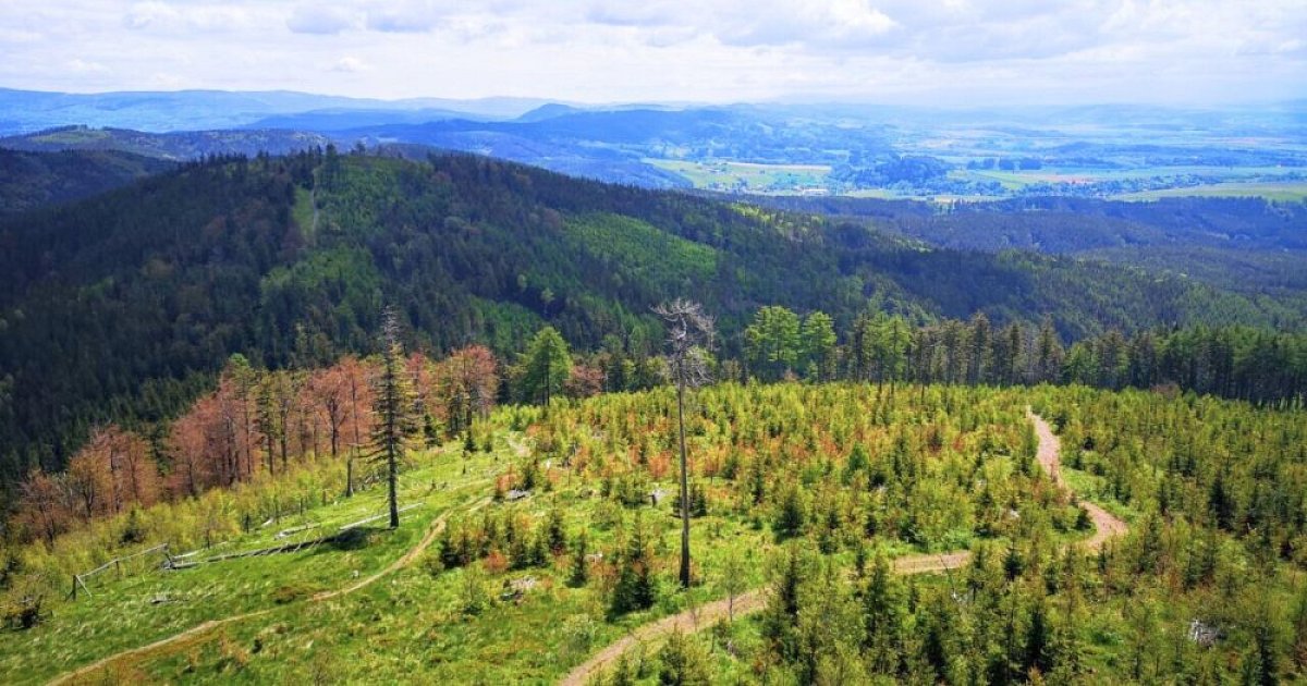 Hřebenovka - Broumovsko