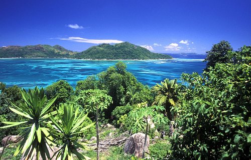 Seychellit