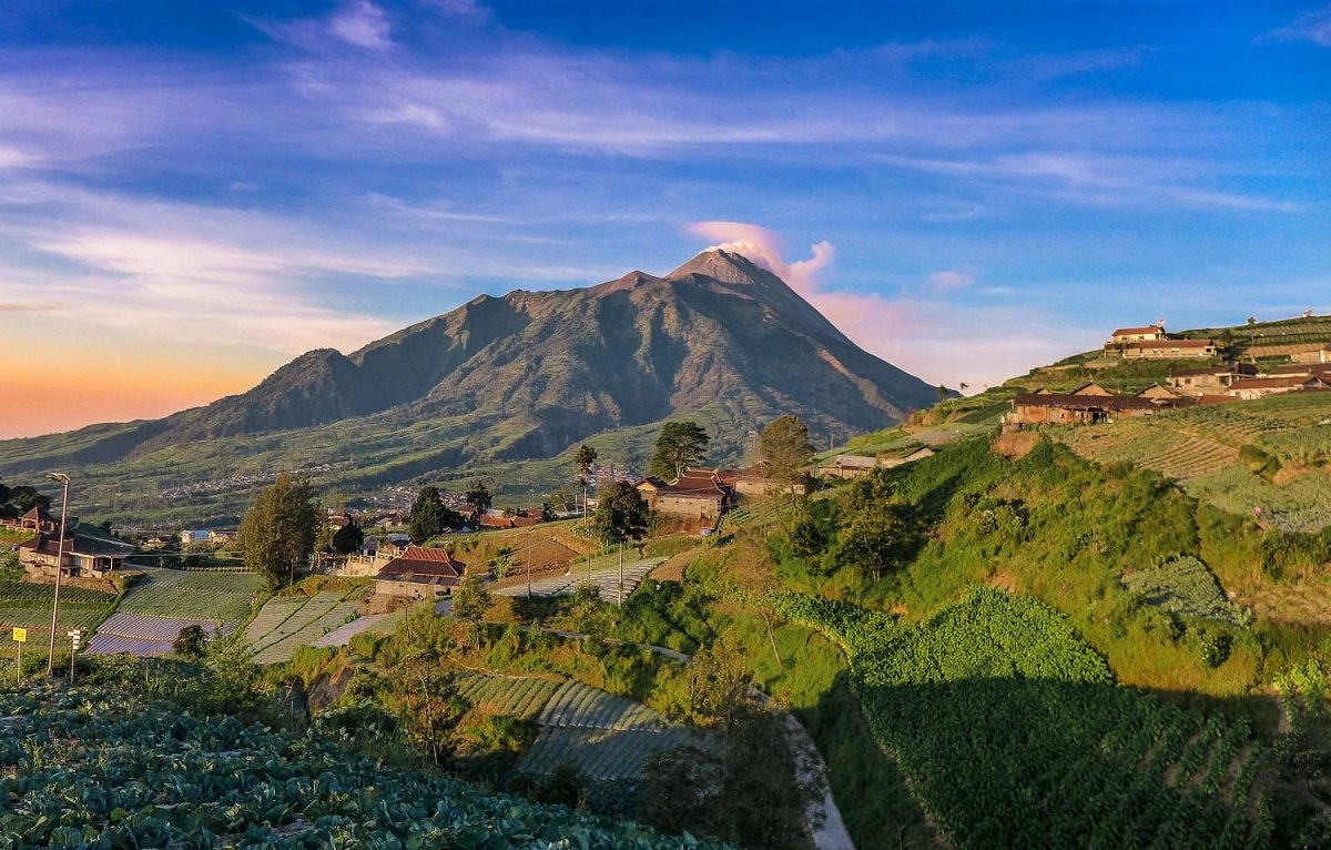 Indonesian