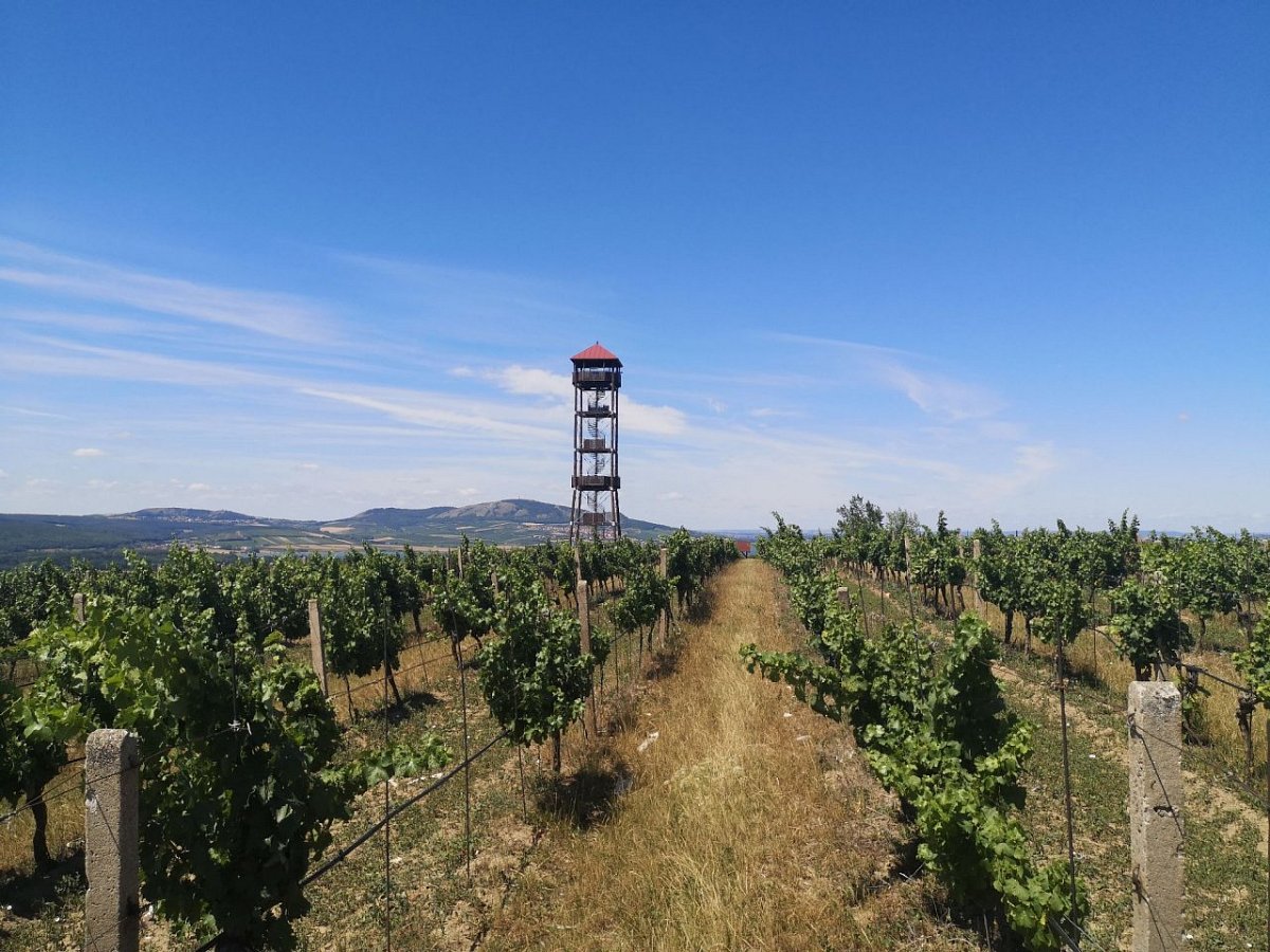 Přítlucká hora (293&nbsp;m)