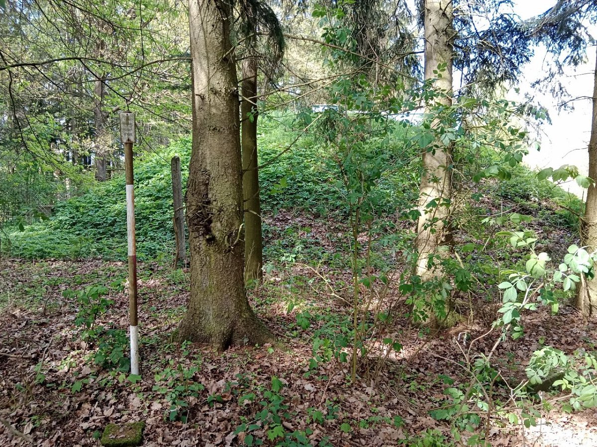 Pihalův kopec (515&nbsp;m)