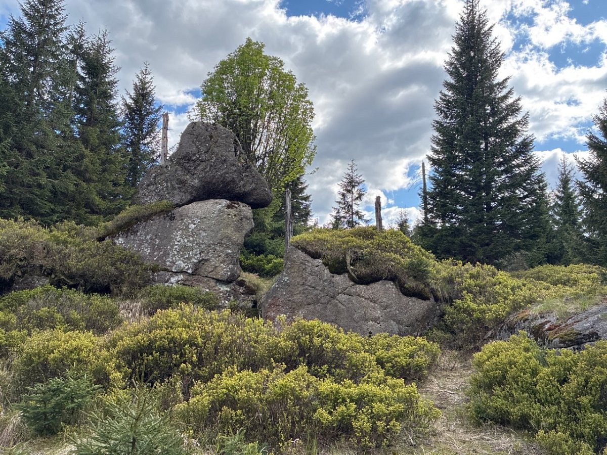 Zadní kopec (905&nbsp;m)