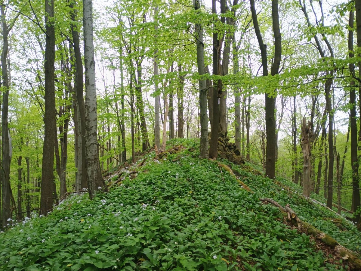 Lipka (473&nbsp;m)