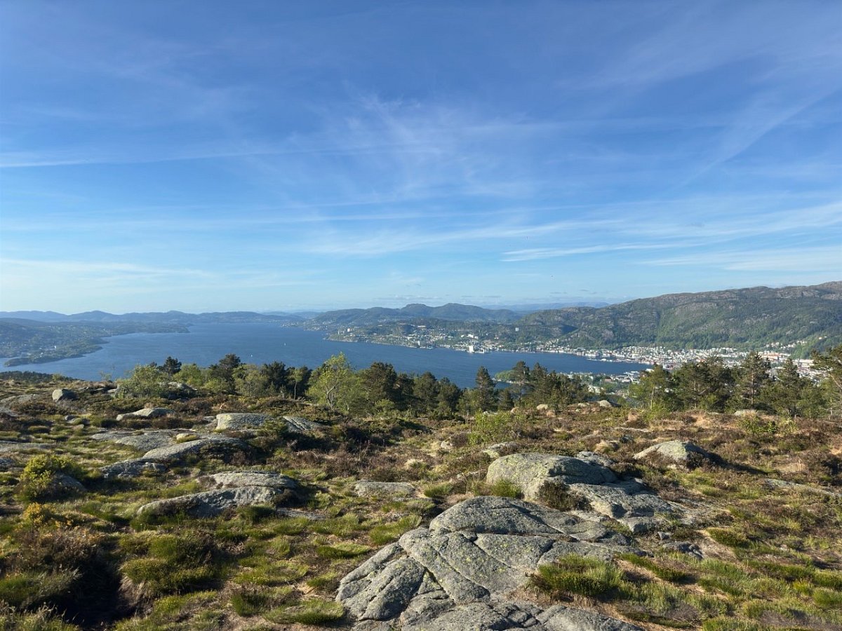 Damsgårdsfjellet (345&nbsp;m)