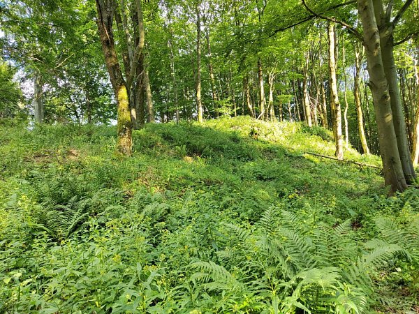 Solný vrch
