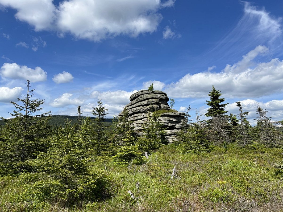 Klínový vrch (979&nbsp;m)