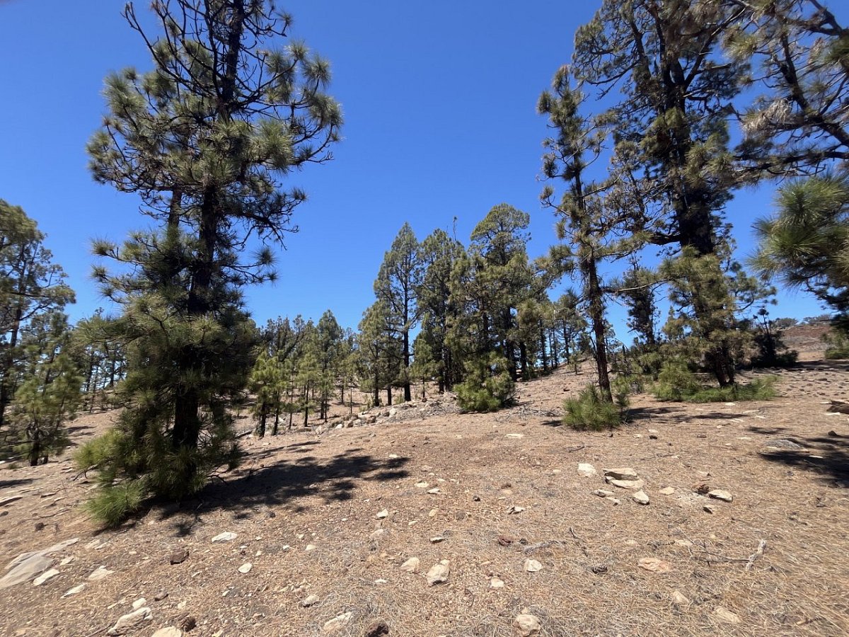 Montãna de las Lajas (2149&nbsp;m)