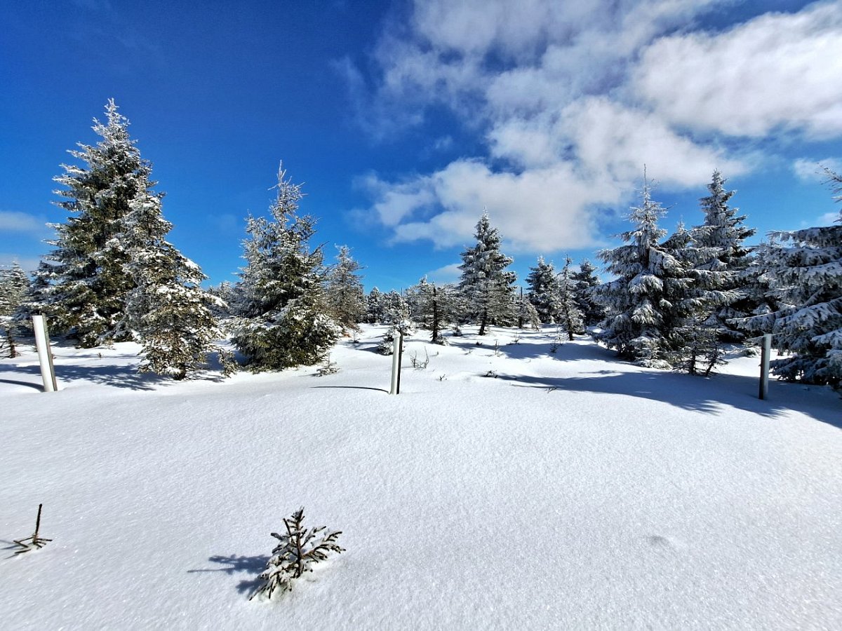 Štěpánovo návrší (1013&nbsp;m)