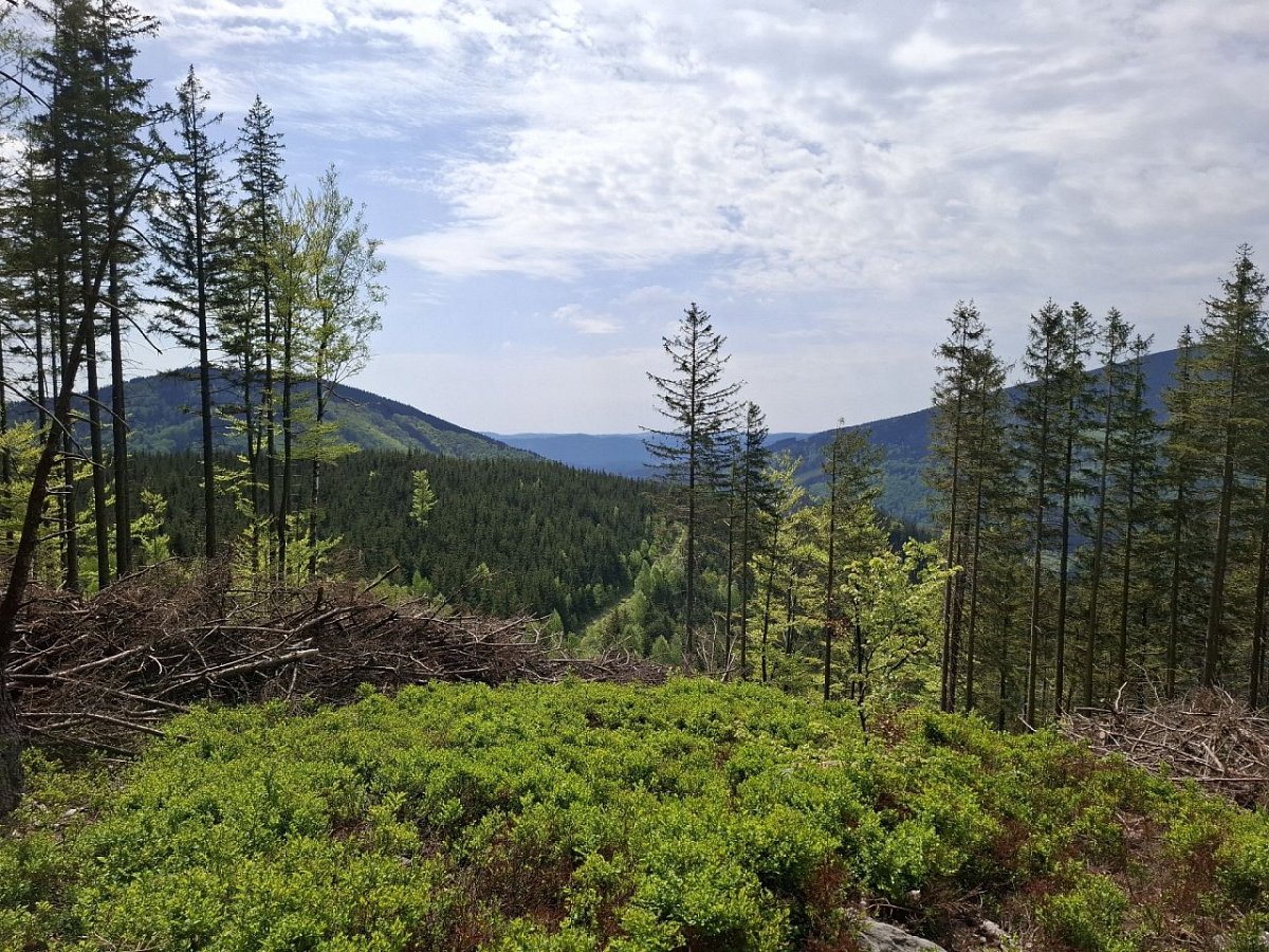 Smrčina (810&nbsp;m)