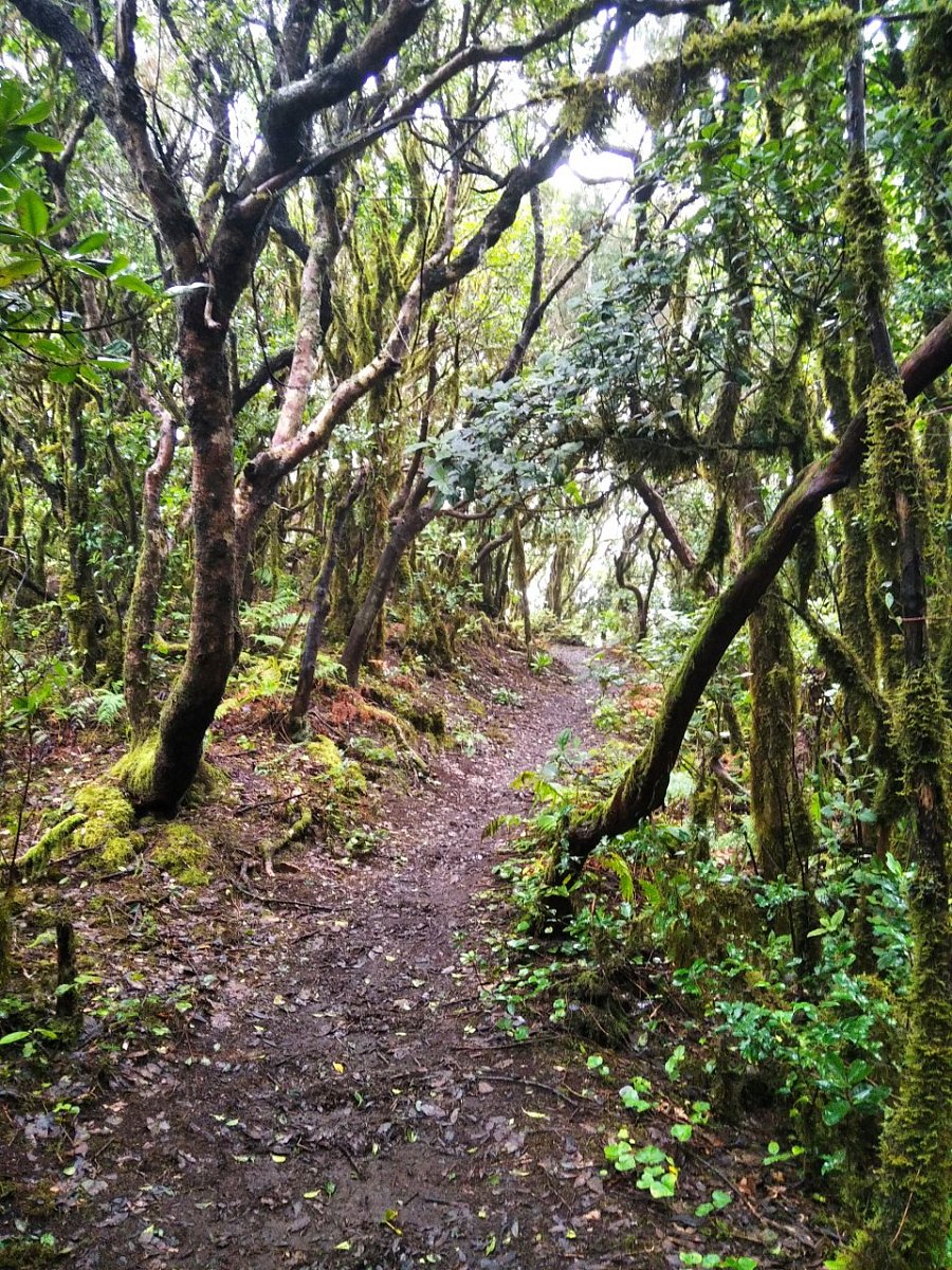 Anambra (886&nbsp;m)