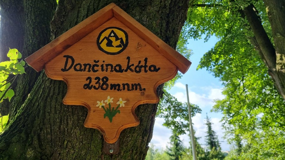 Dančina kóta (238&nbsp;m)
