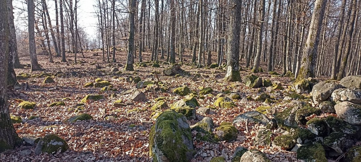 Šibač (529&nbsp;m)