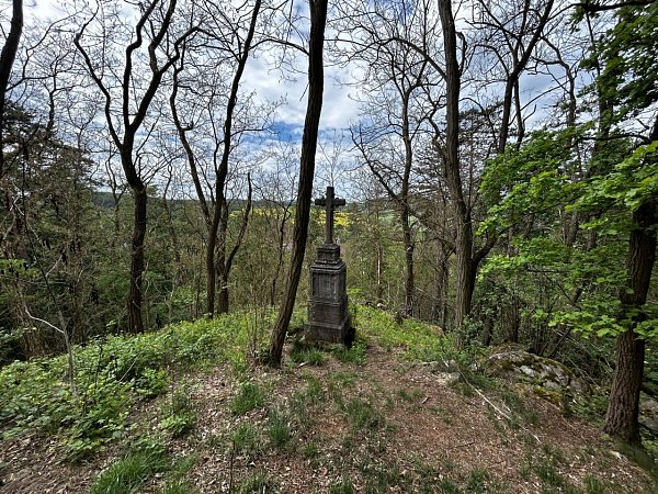 Petrovice