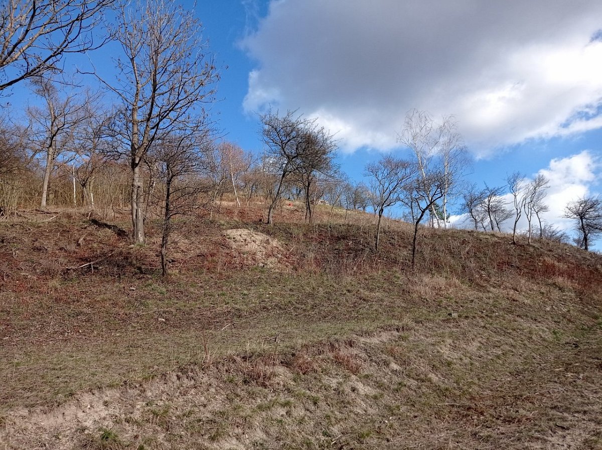Radouňský vrch (240&nbsp;m)