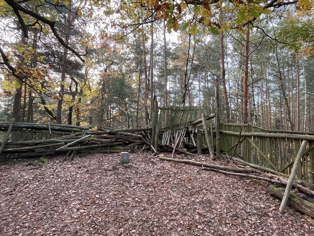 Ostrý (538&nbsp;m)