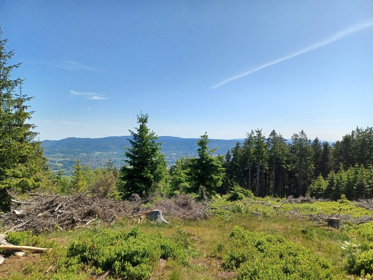 Rozsocha (767&nbsp;m)