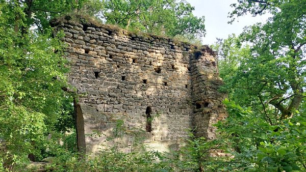 Vítkovec - zřícenina hradu