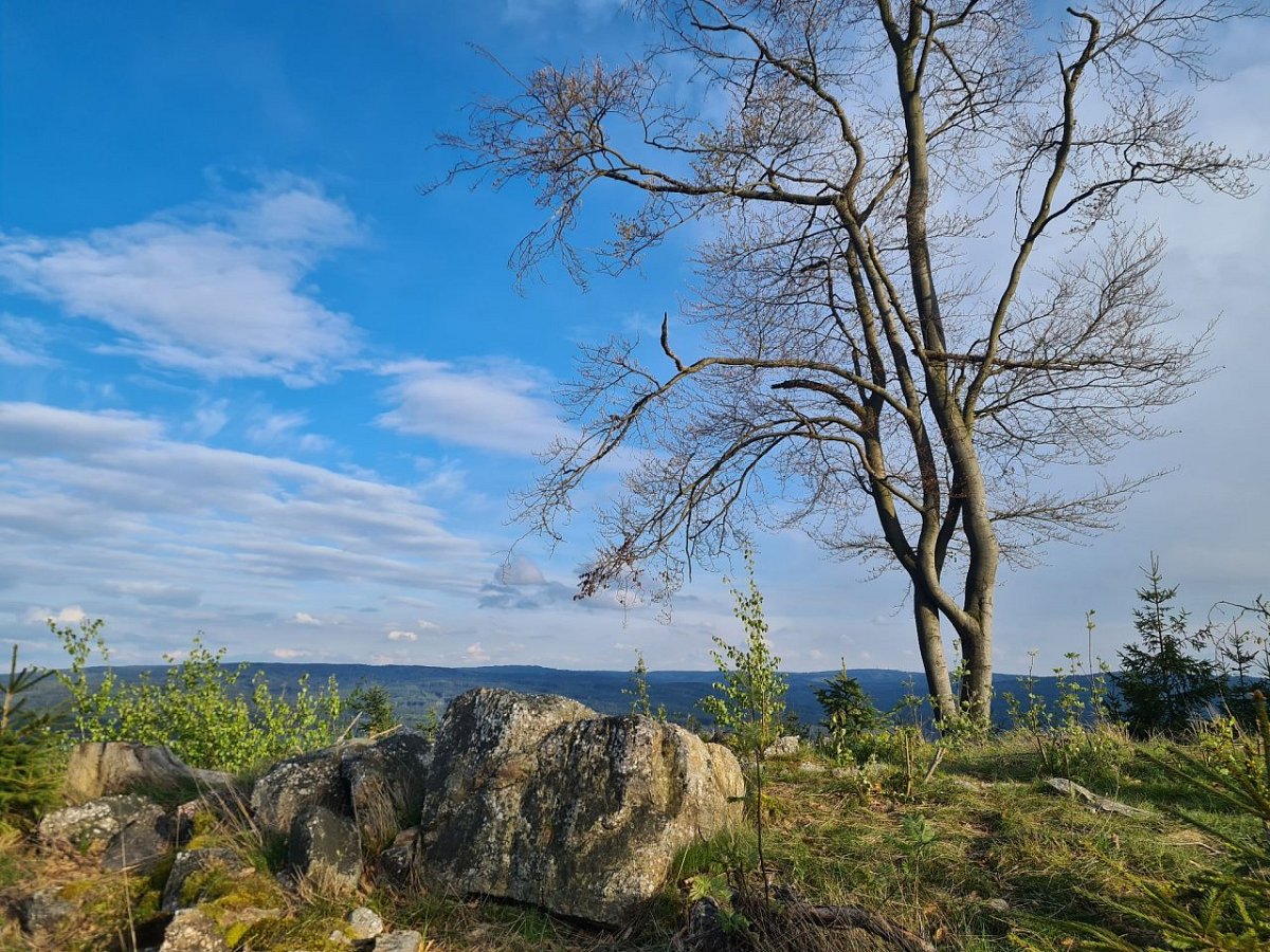 Bambule (659&nbsp;m)