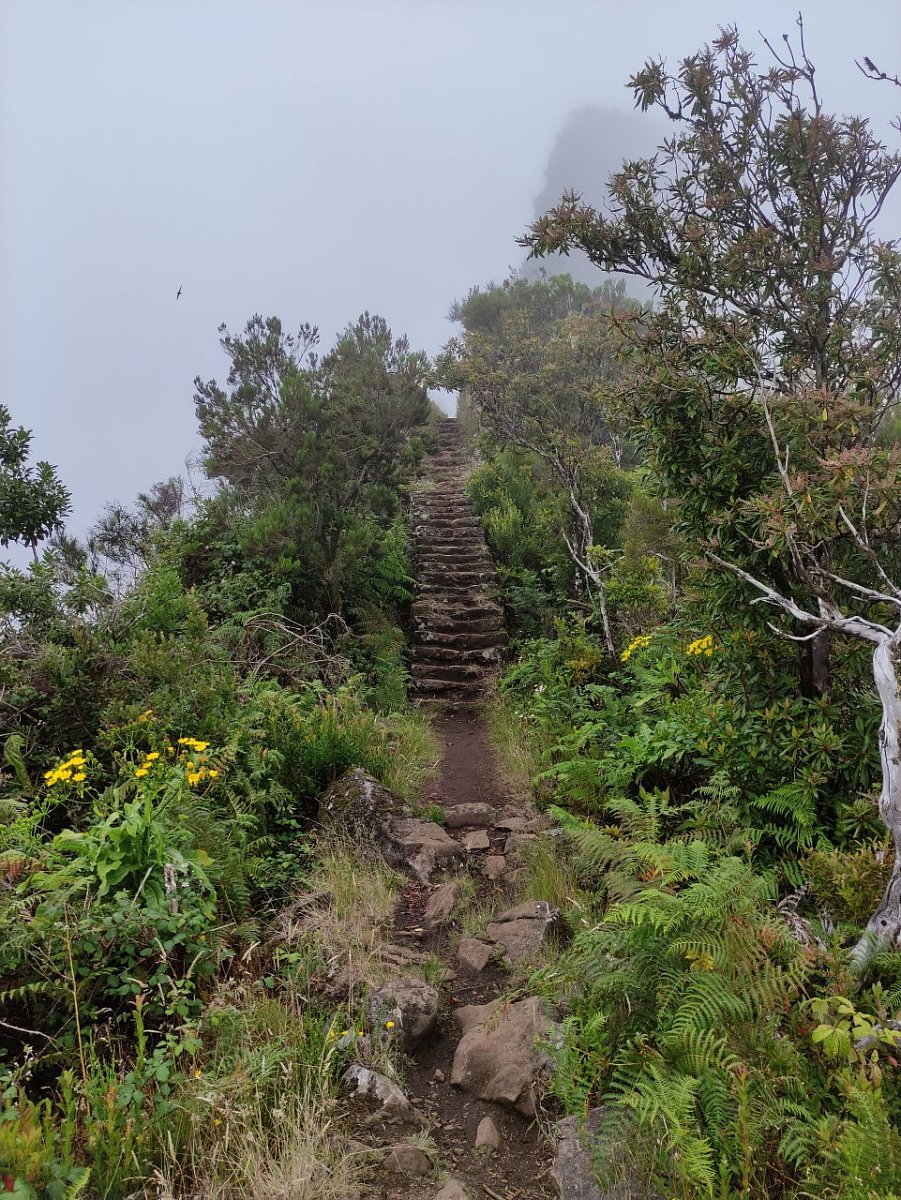 Pico do Tapeiro (1331&nbsp;m)