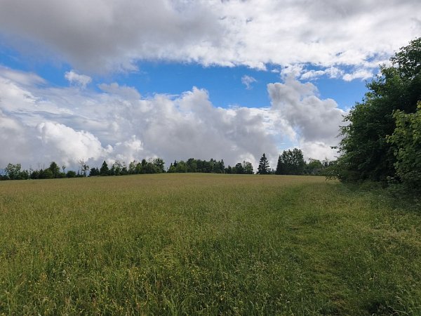 Krásnička
