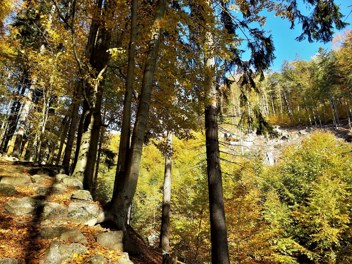 Klášterní vrch (655&nbsp;m)
