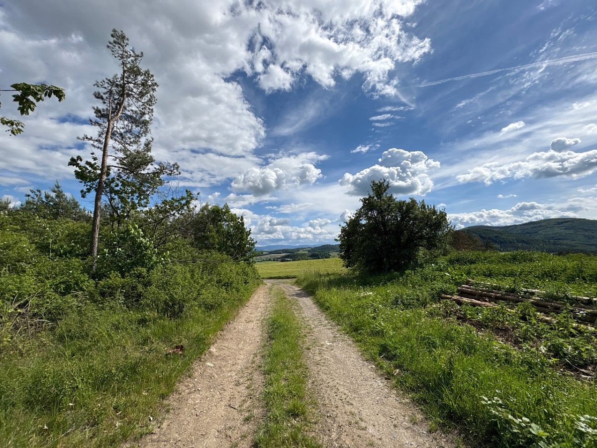 Na Orlíkách (458&nbsp;m)