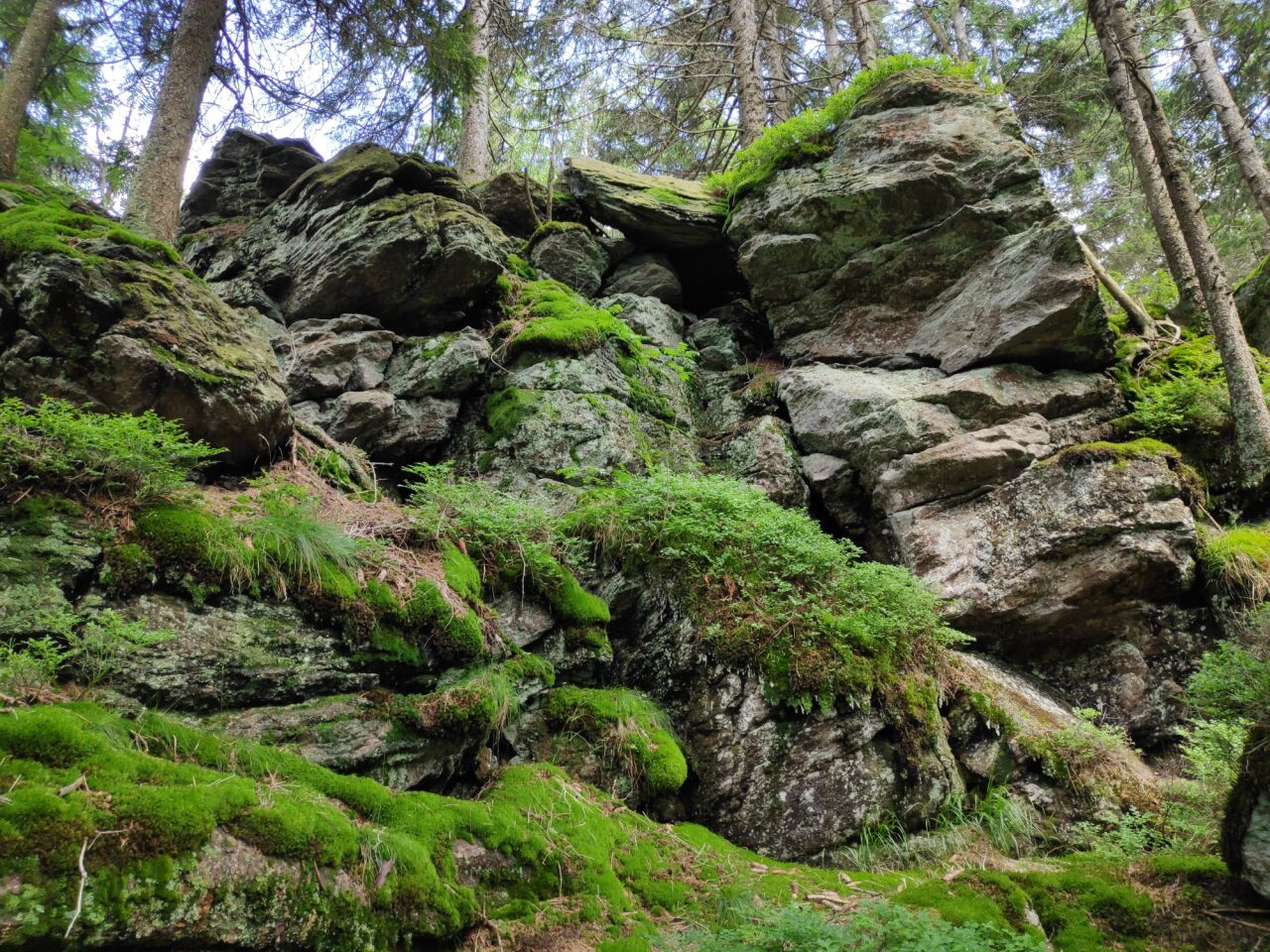 Čertův vrch (1244&nbsp;m)