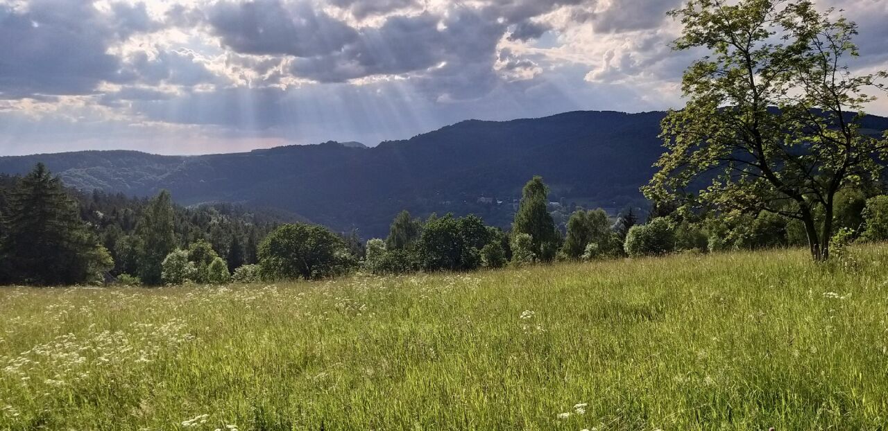 Prosíčka (467&nbsp;m)