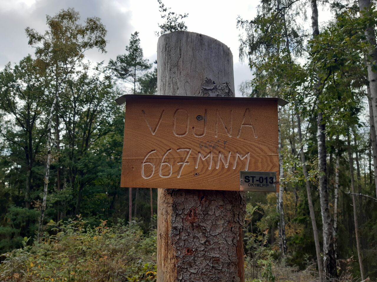 Vojna