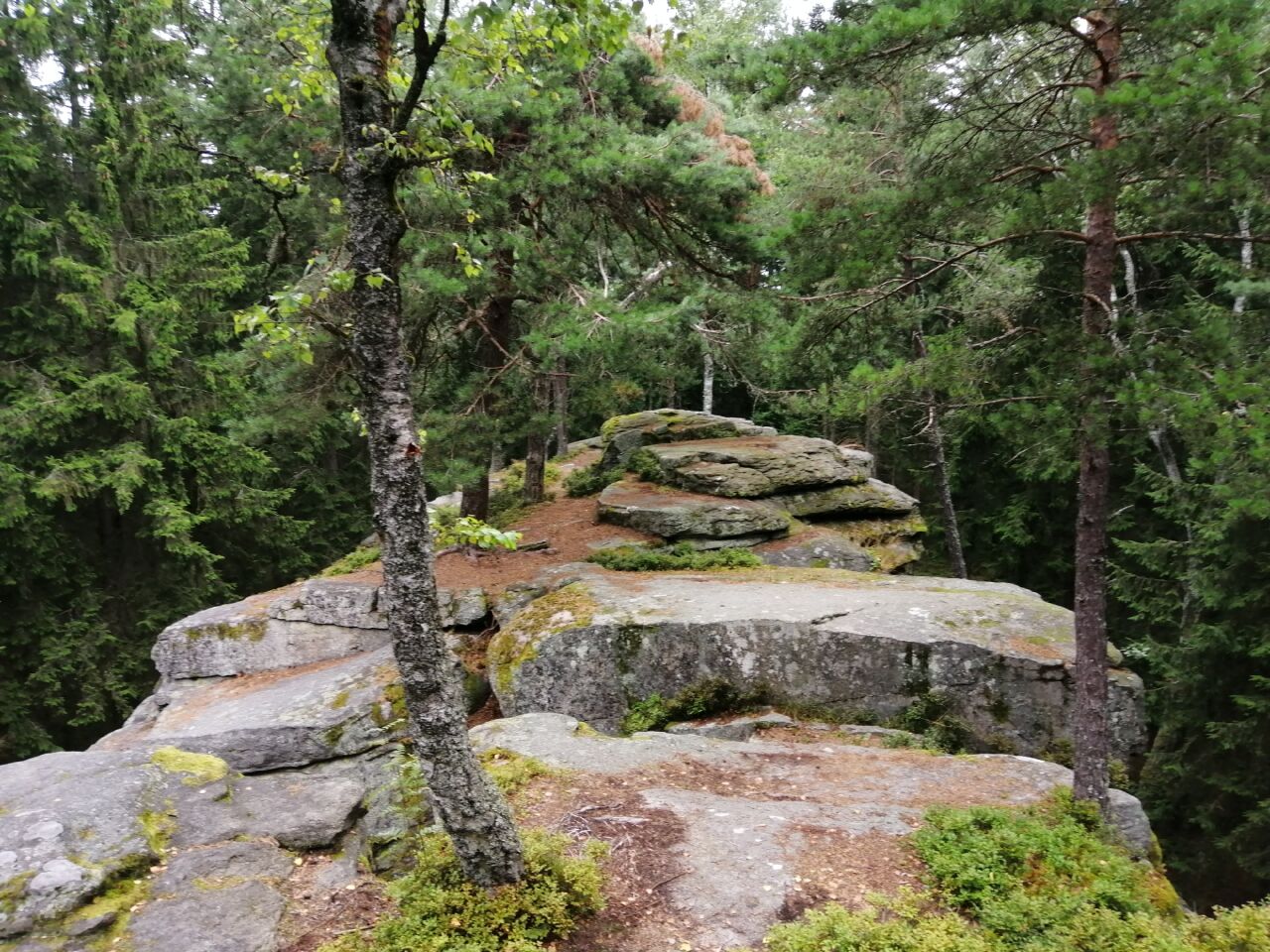 Hamerský vrch