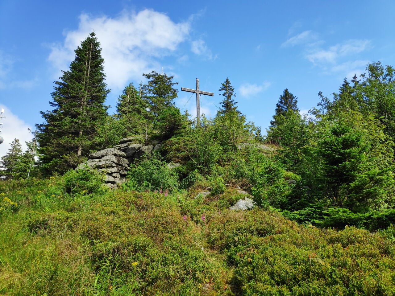 Smrčina
